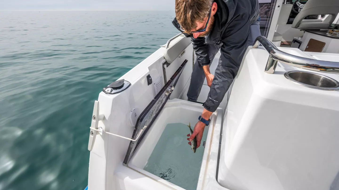 Beneteau Antares 8 Fishing — photo 9