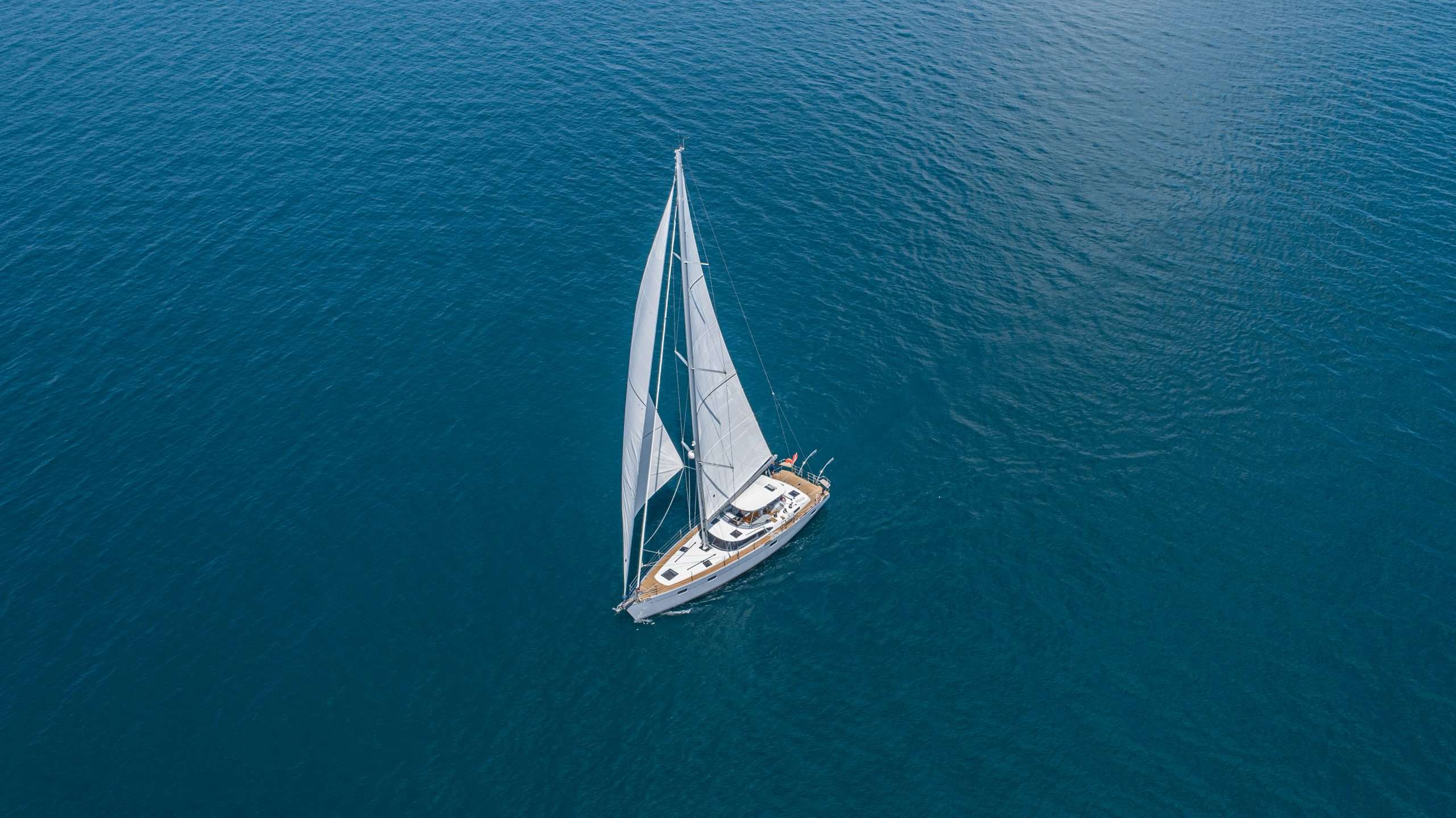 Kraken 50 — photo 2