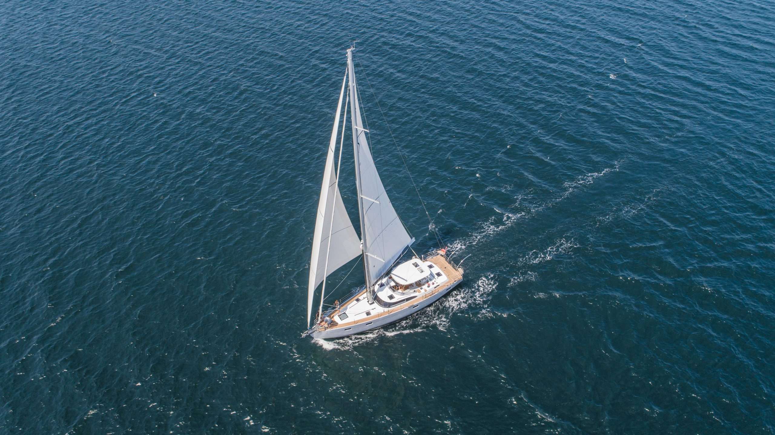 Kraken 50 — photo 6