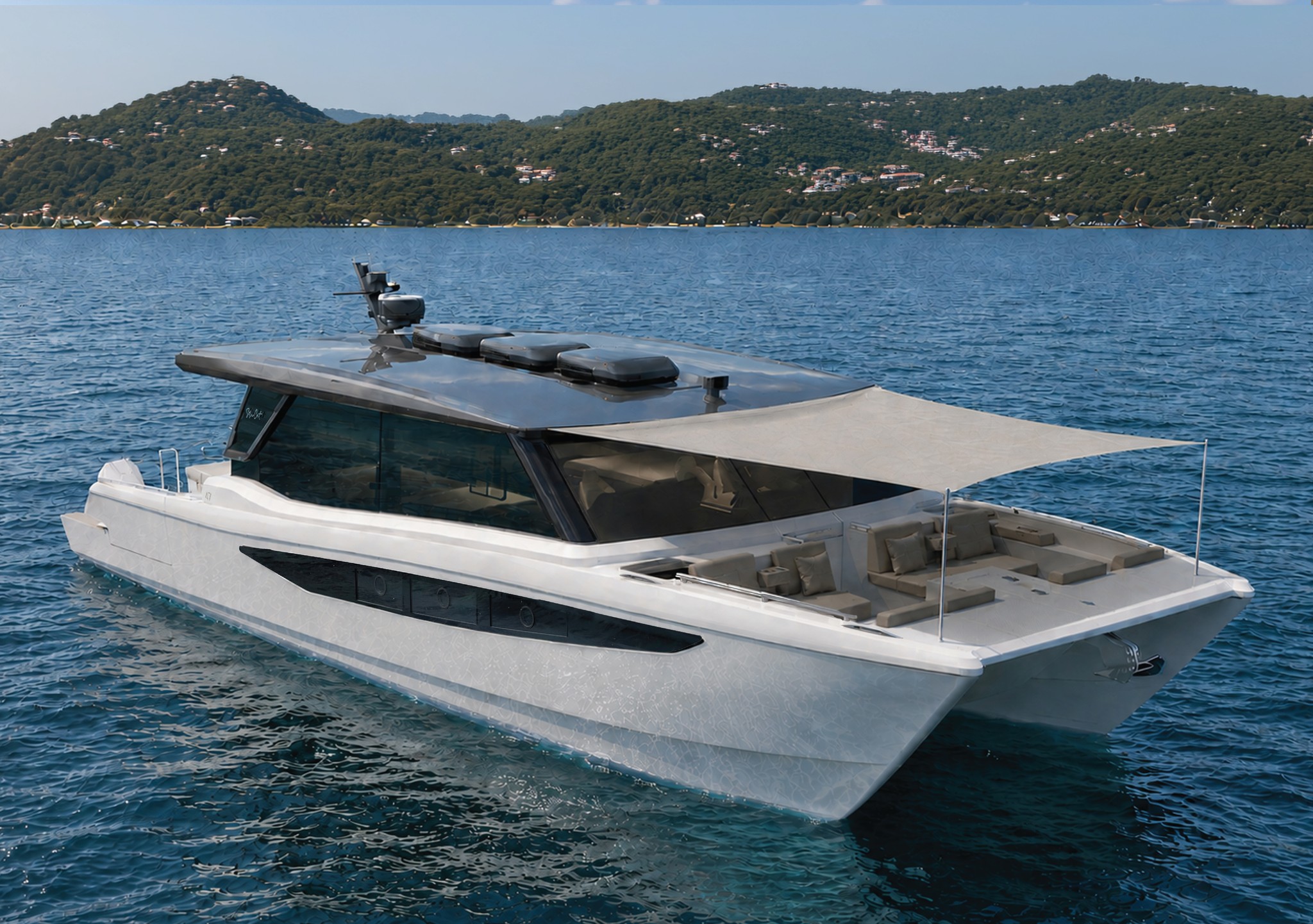 SilverCat SilverCat 47