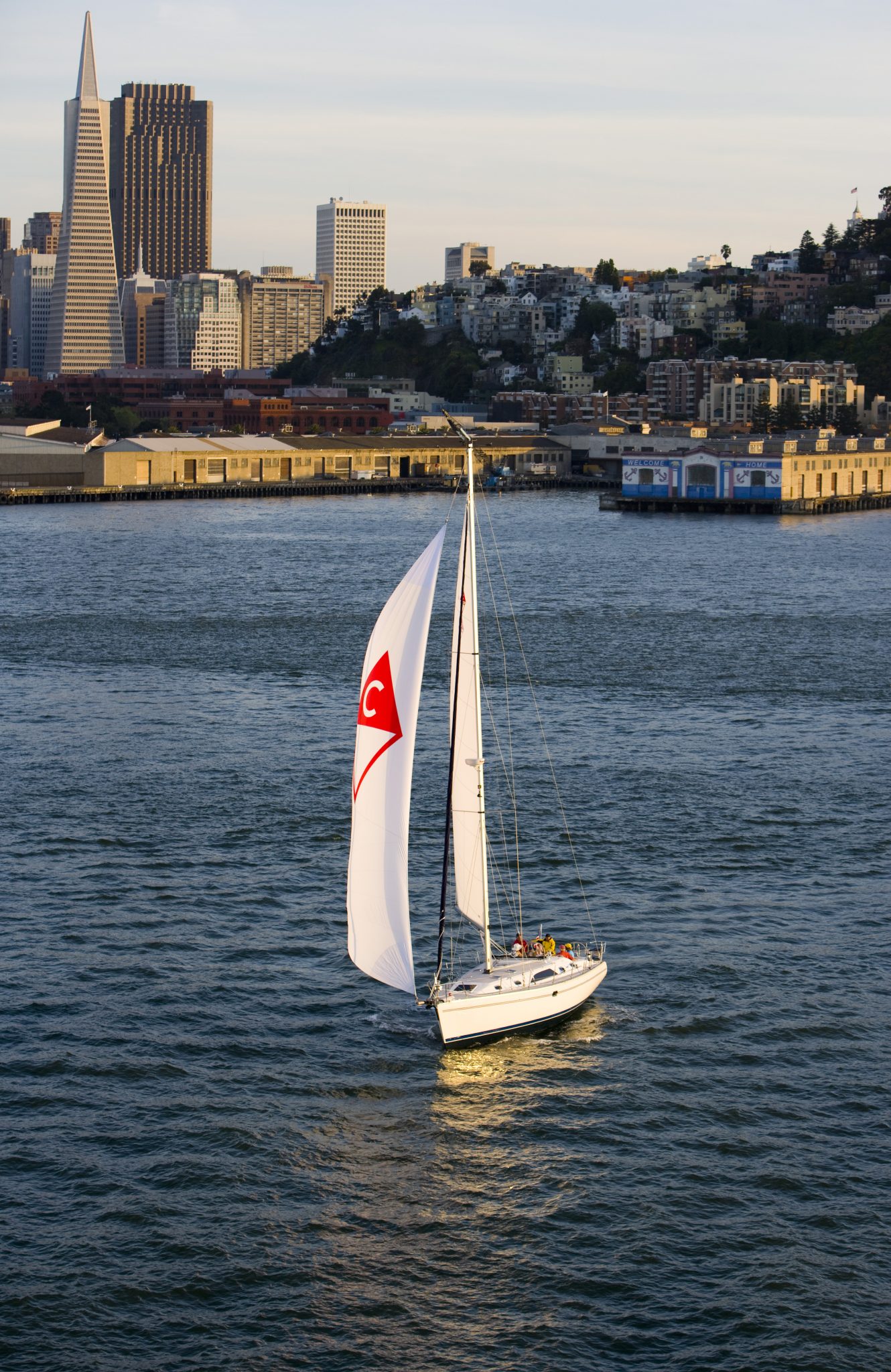 Catalina 445 — photo 6