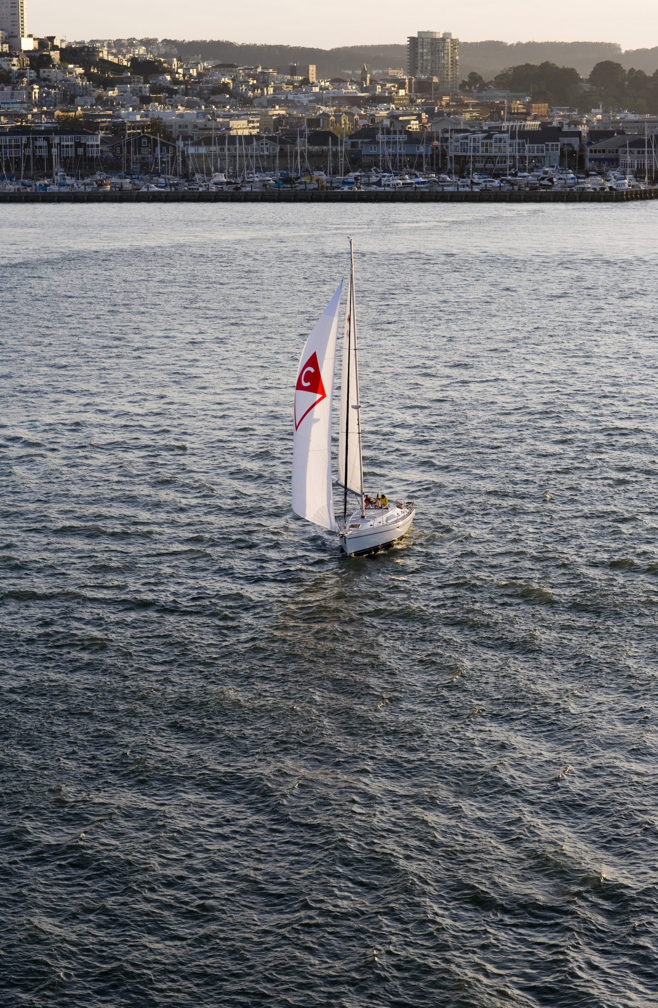 Catalina 445 — photo 5