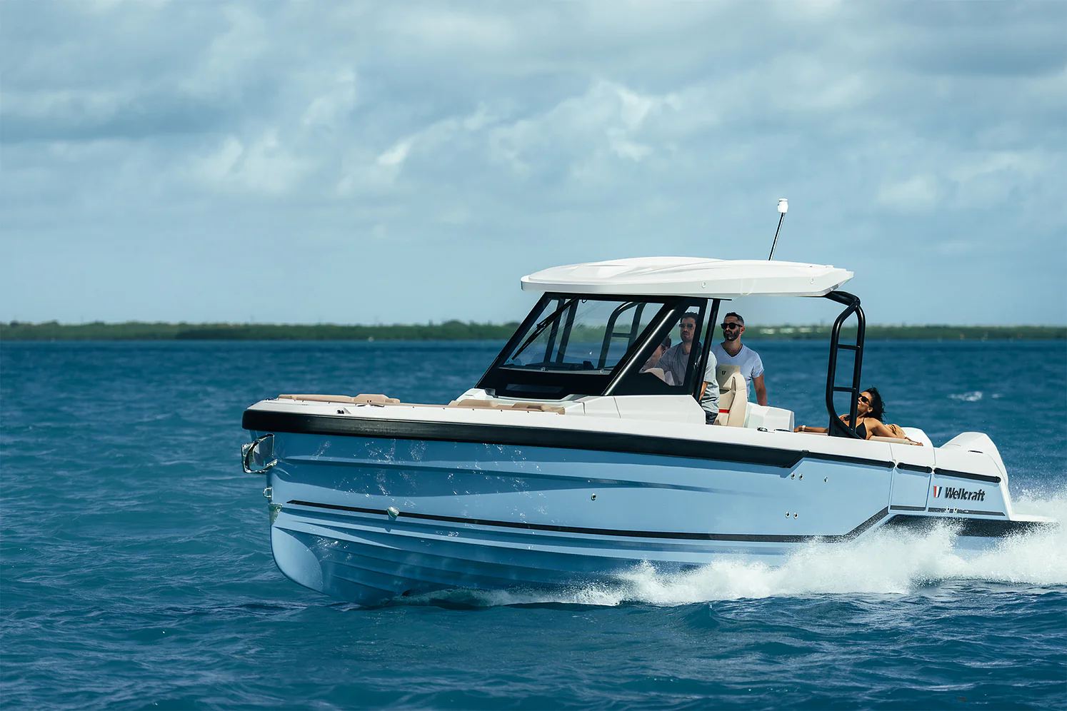 Wellcraft 28 T-Top — photo 8