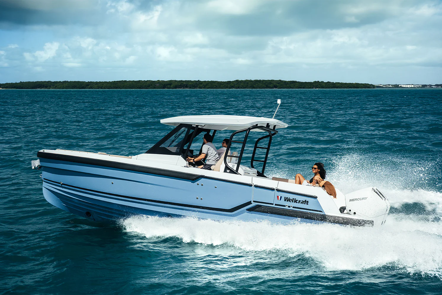 Wellcraft 28 T-Top — photo 9
