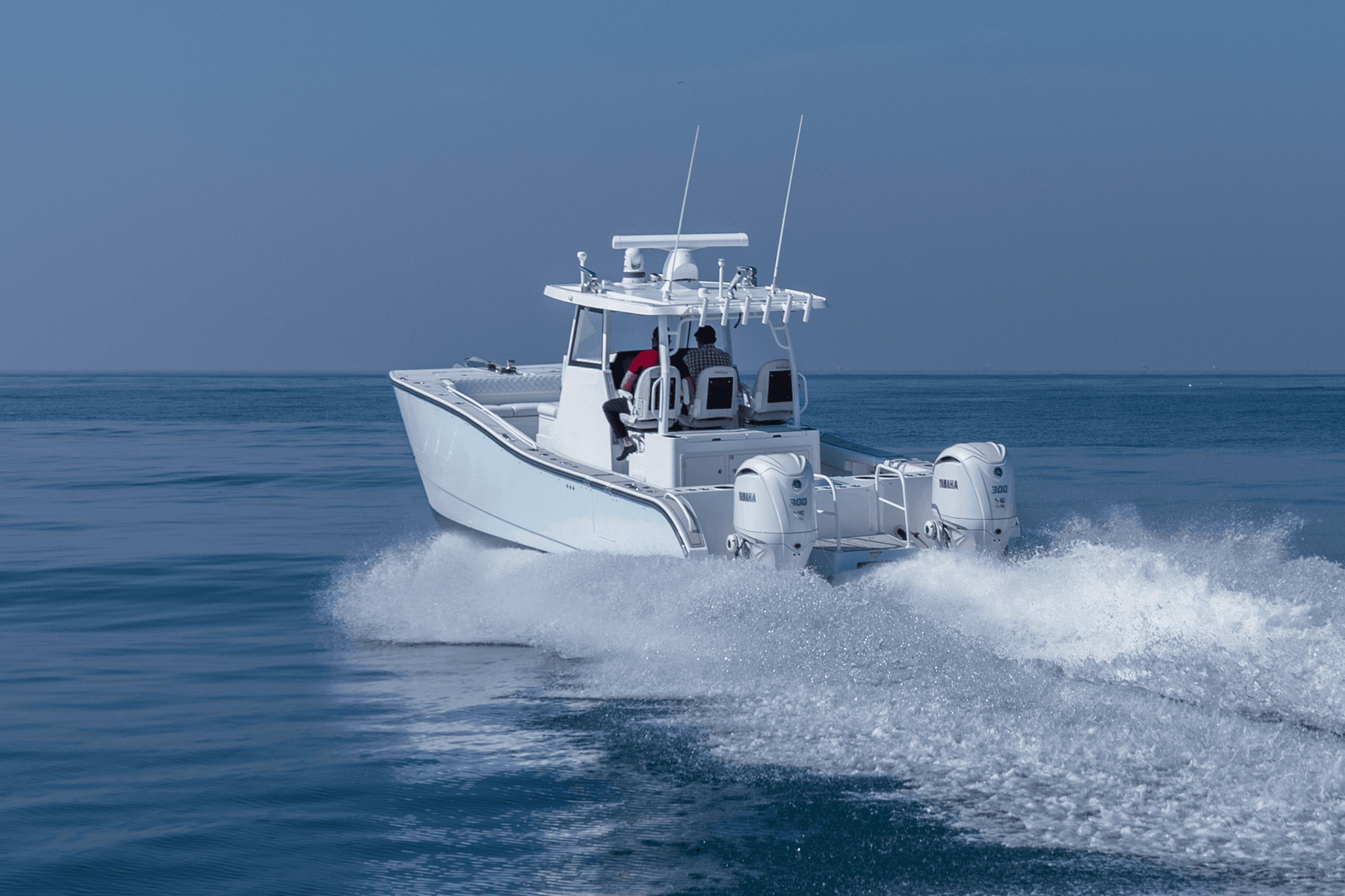 SilverCat 34CC — photo 2