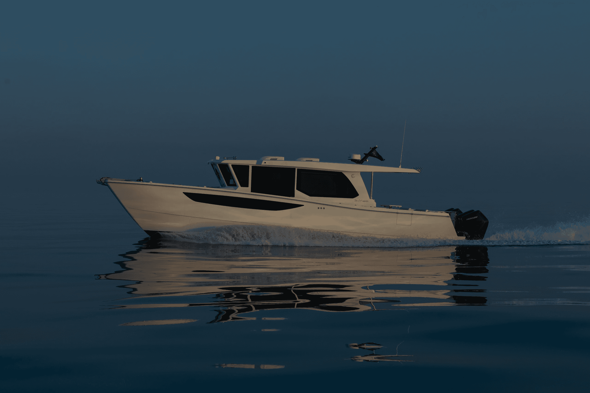 SilverCat 46CX — photo 4