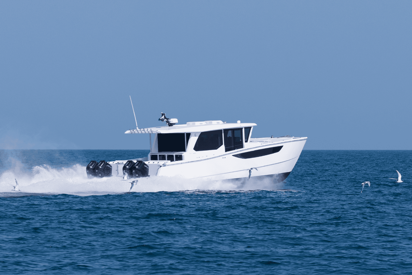 SilverCat 46CX — photo 3
