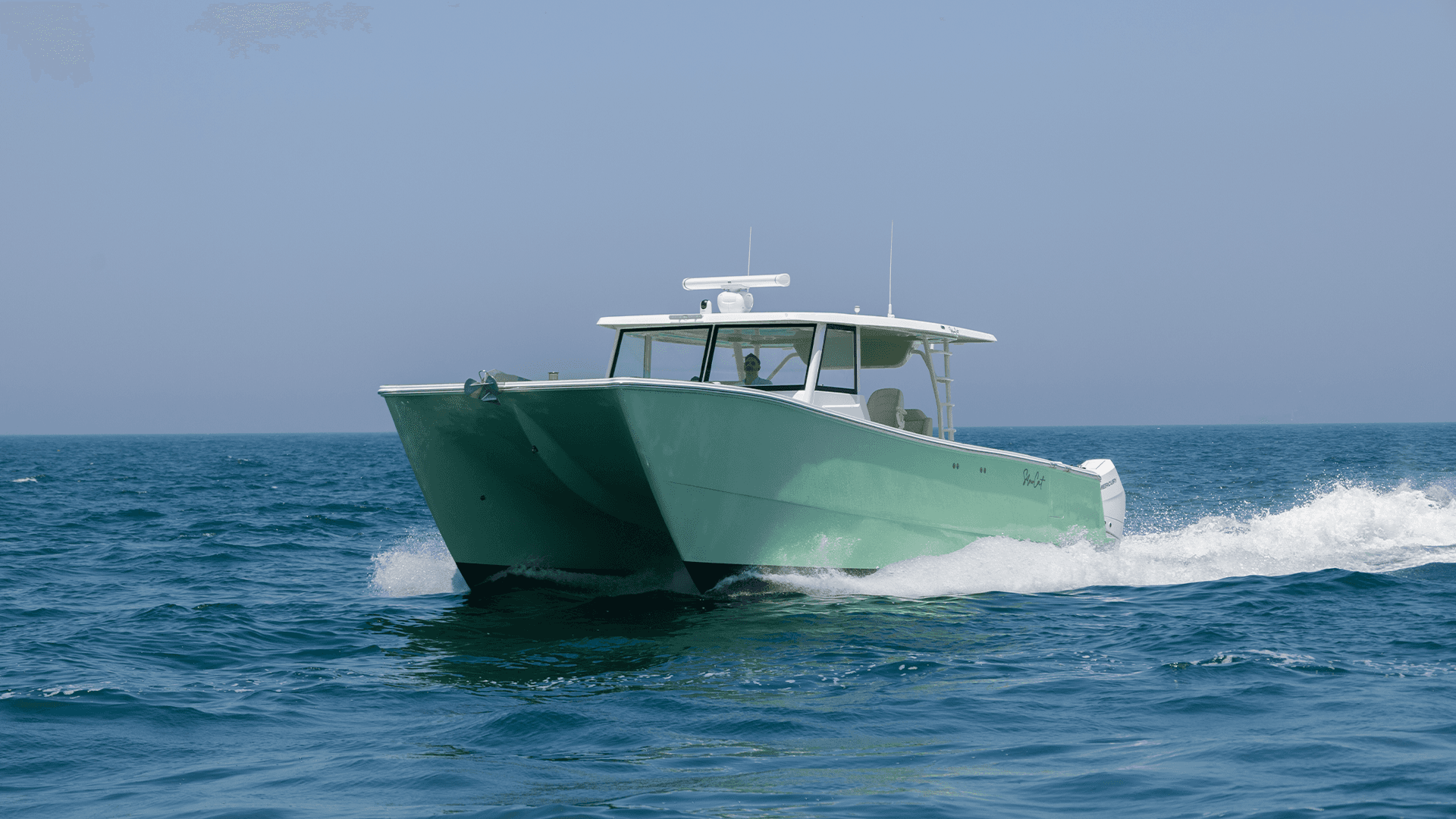 SilverCat 40CC — photo 2