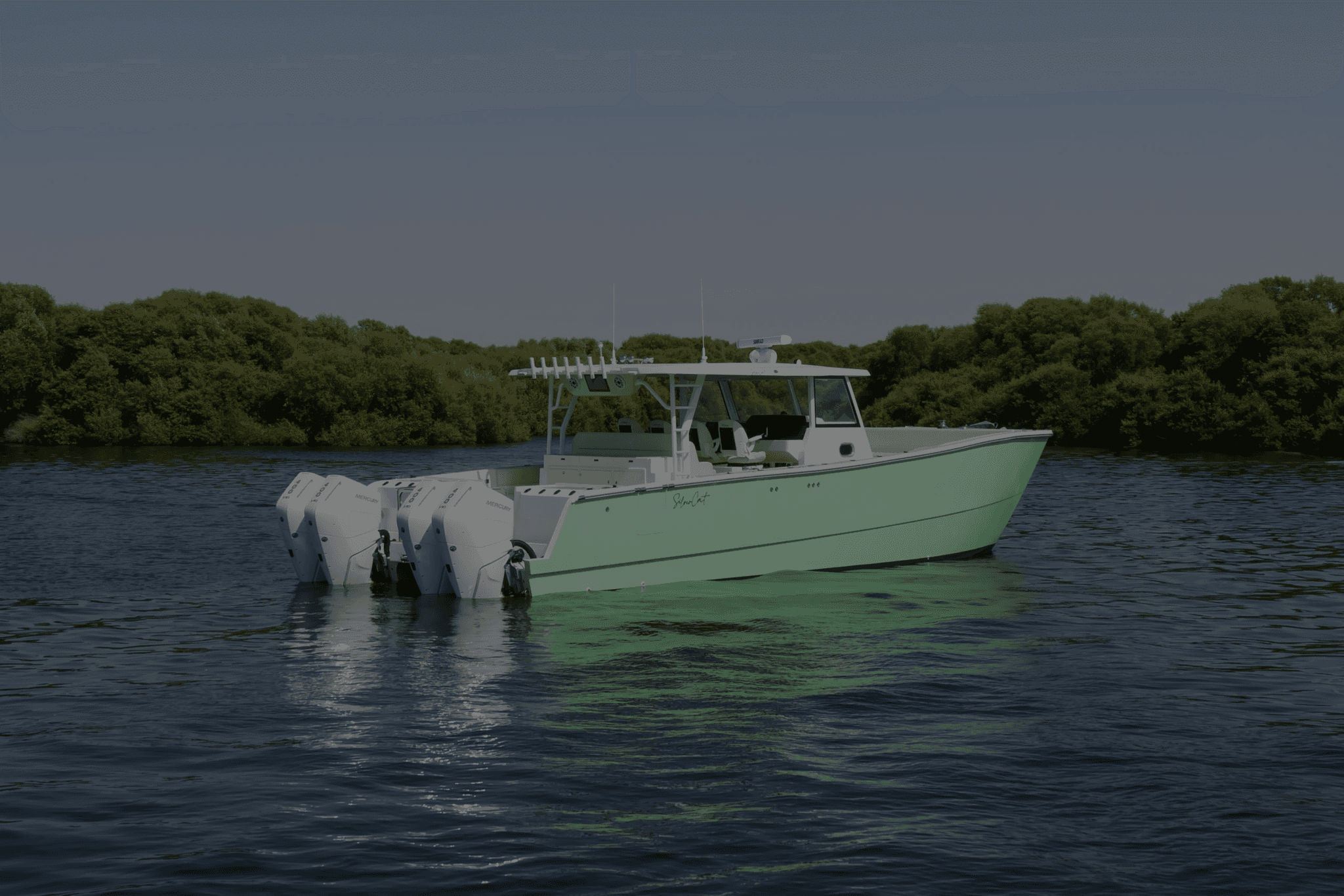 SilverCat 40CC — photo 4