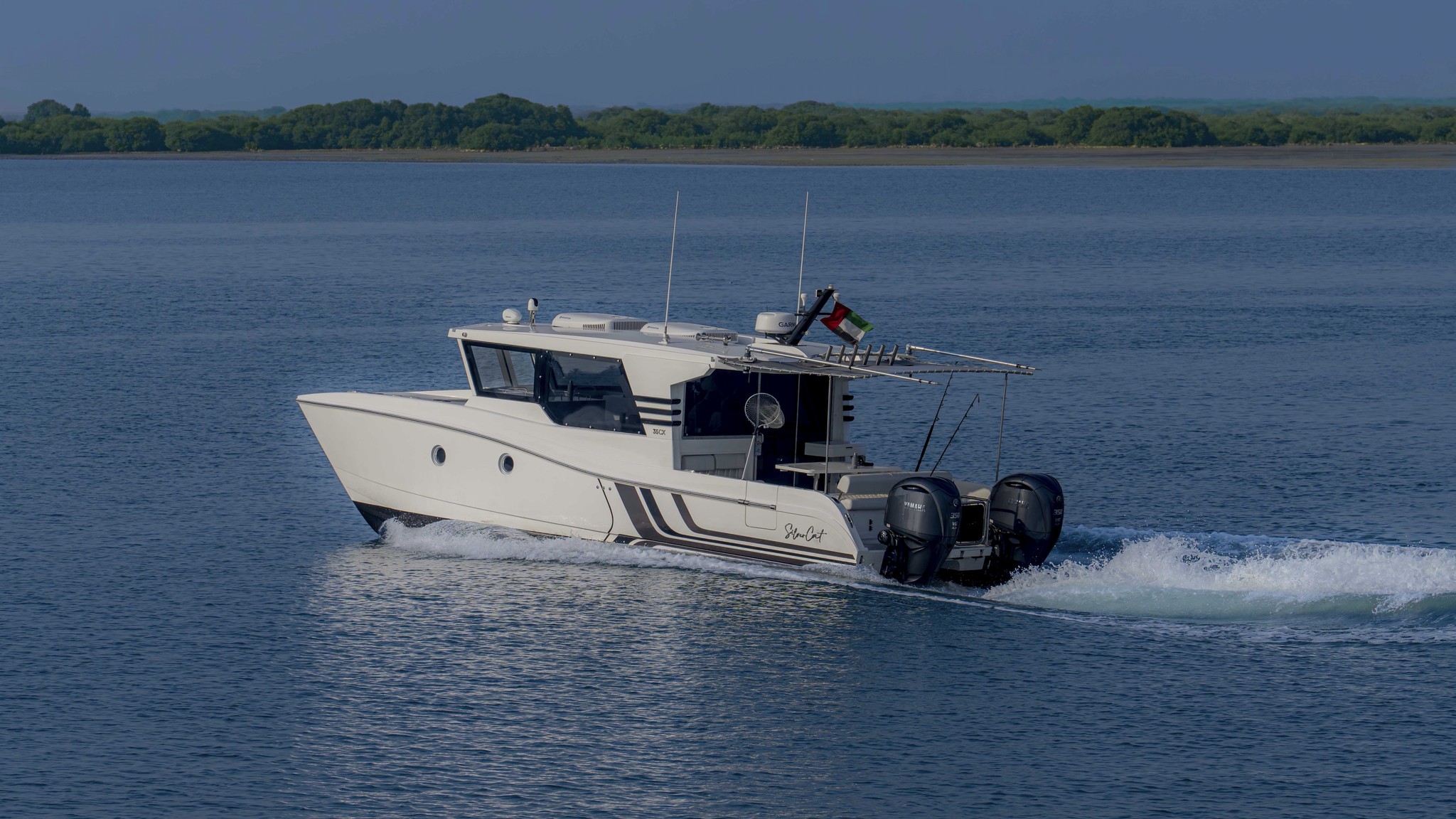 SilverCat 35CX — photo 6
