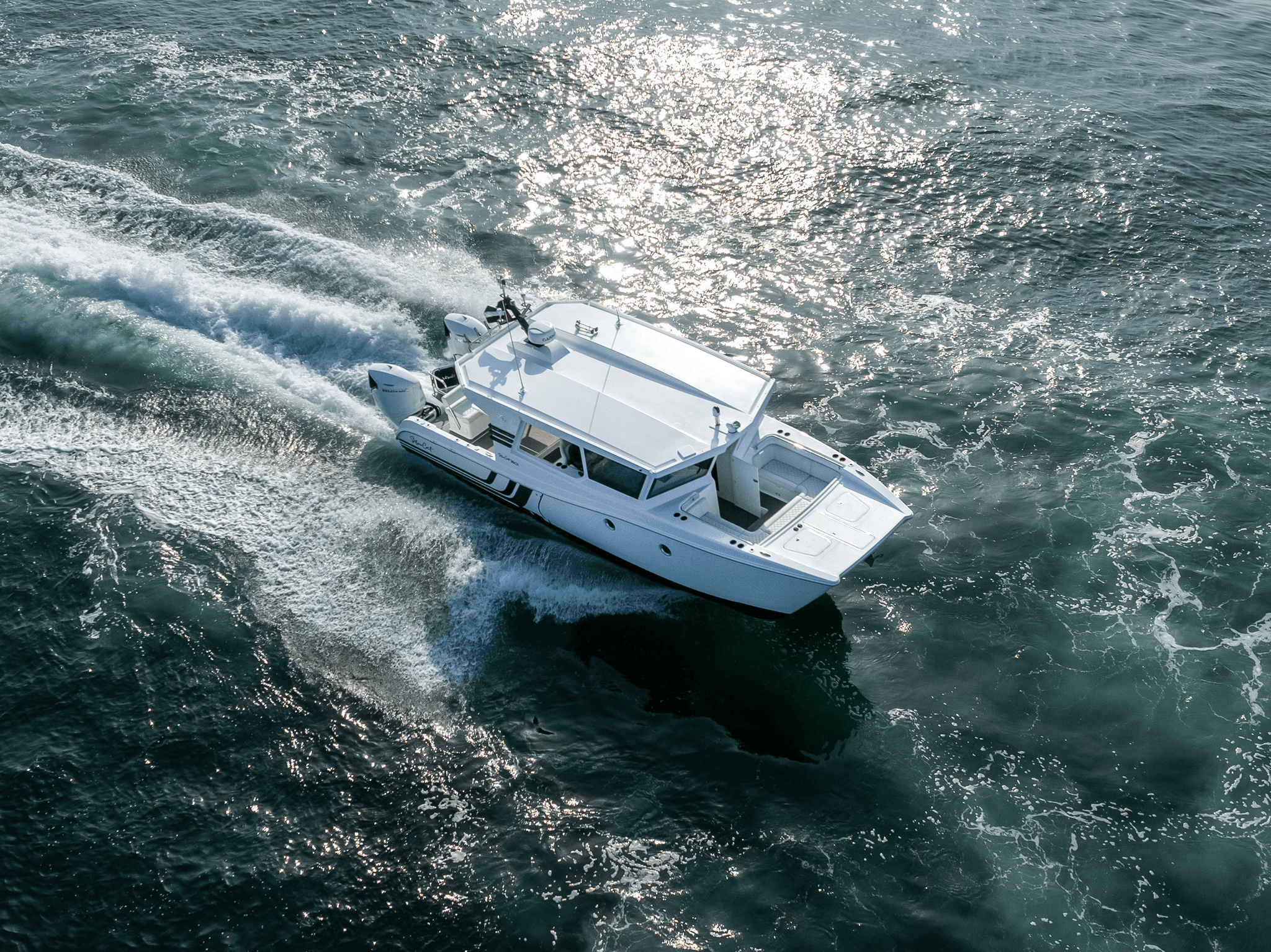 SilverCat 35CX — photo 2