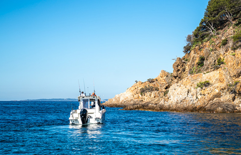 Quicksilver 805 Pilothouse — photo 2