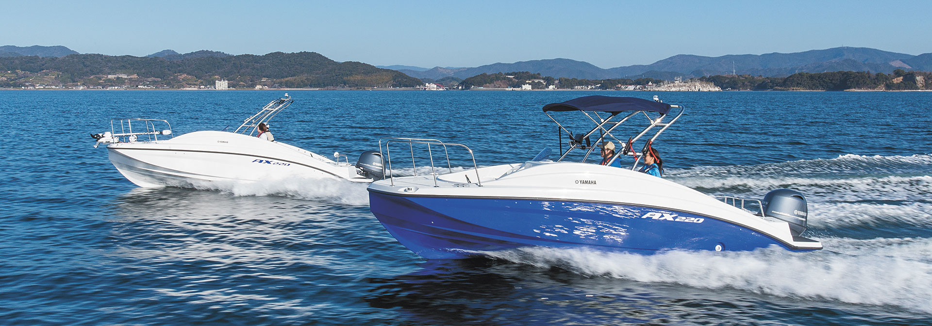 Yamaha AX220 — photo 2