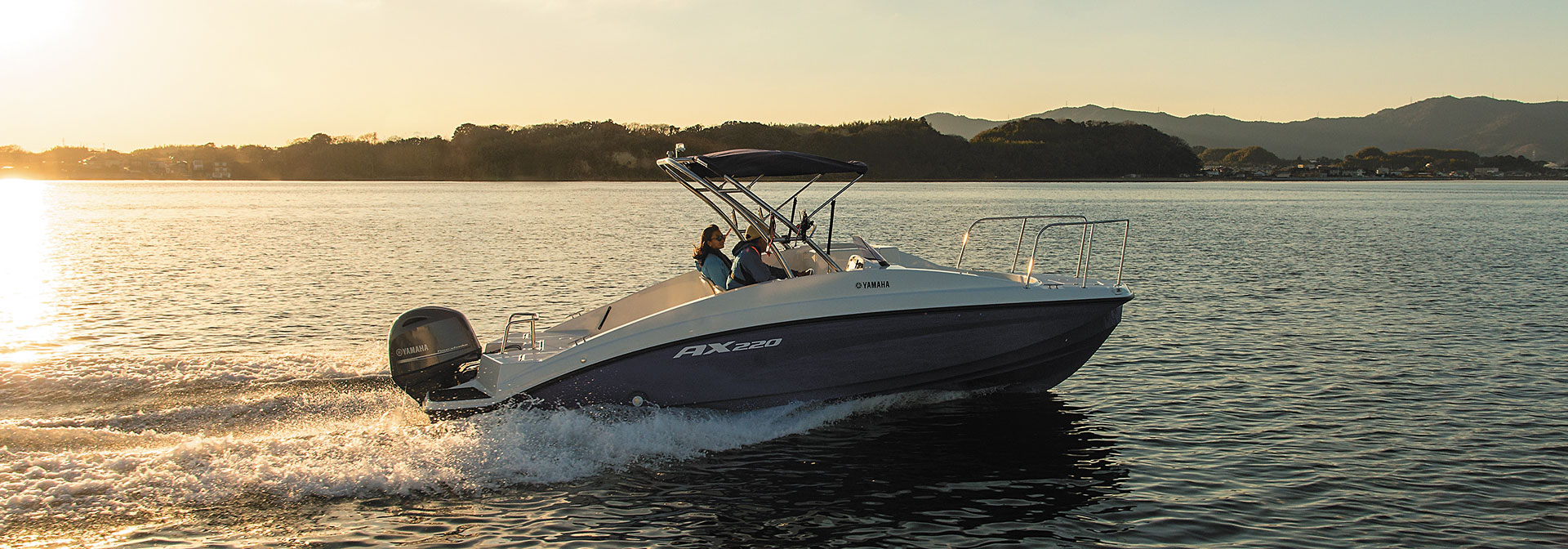 Yamaha AX220 — photo 3