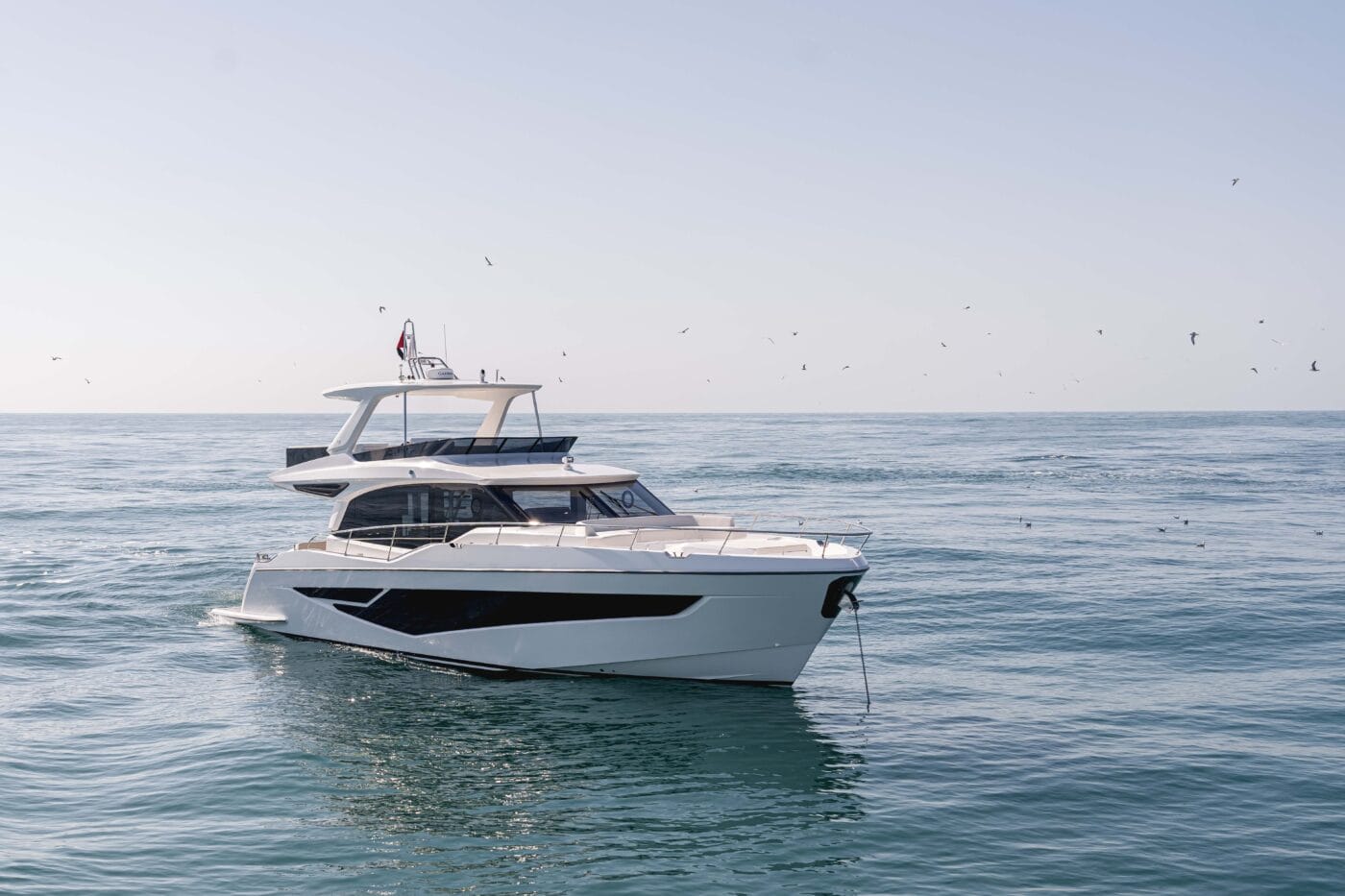 Majesty 60 — photo 5