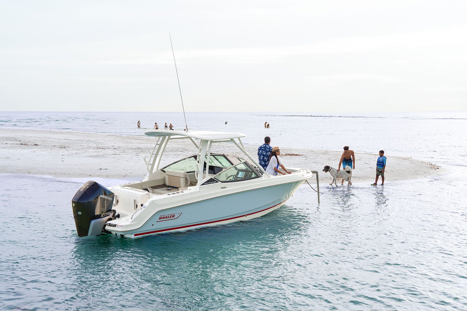 Boston Whaler 240 Vantage — photo 5