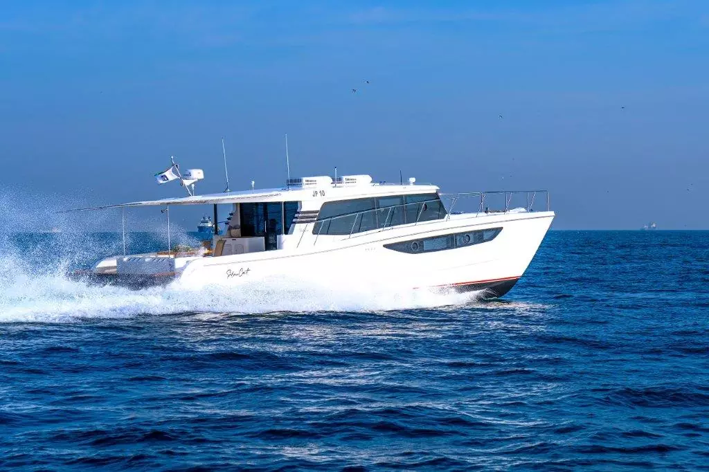 SilverCat 46LUX — photo 6