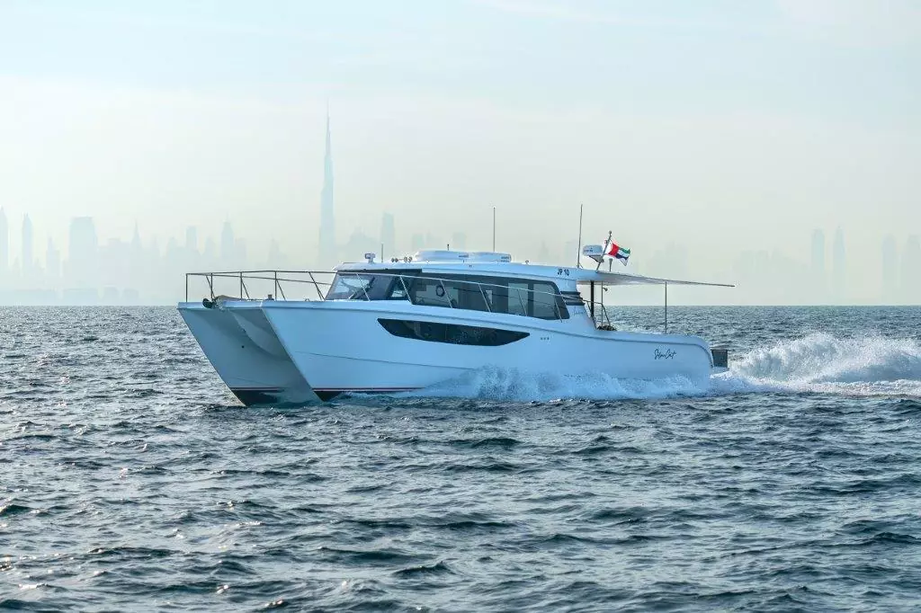 SilverCat 46LUX — photo 4