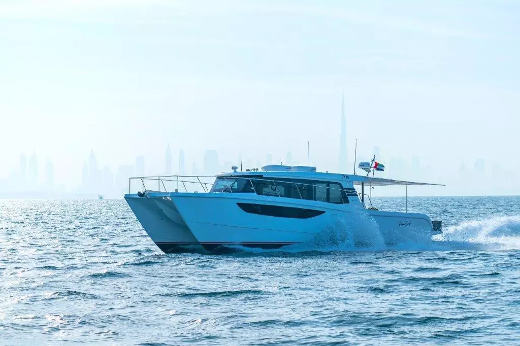 SilverCat 46LUX — photo 5