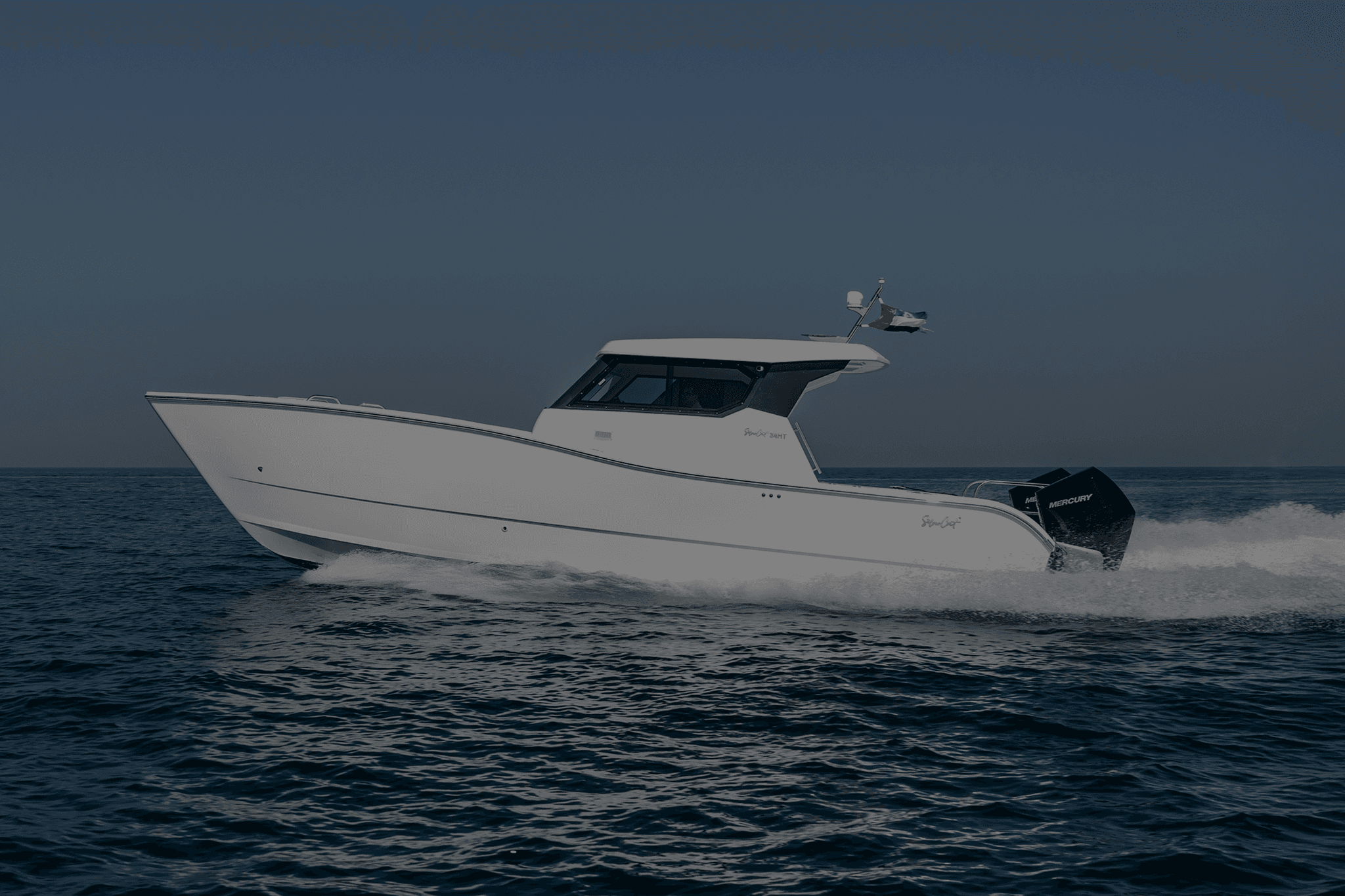SilverCat 34HT — photo 4