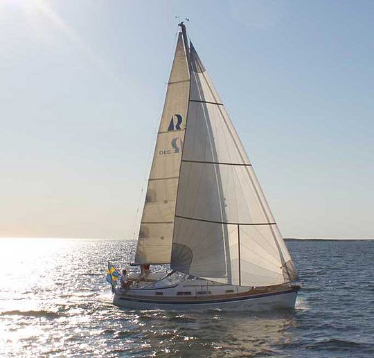 Hallberg-Rassy 310 — 照片 5