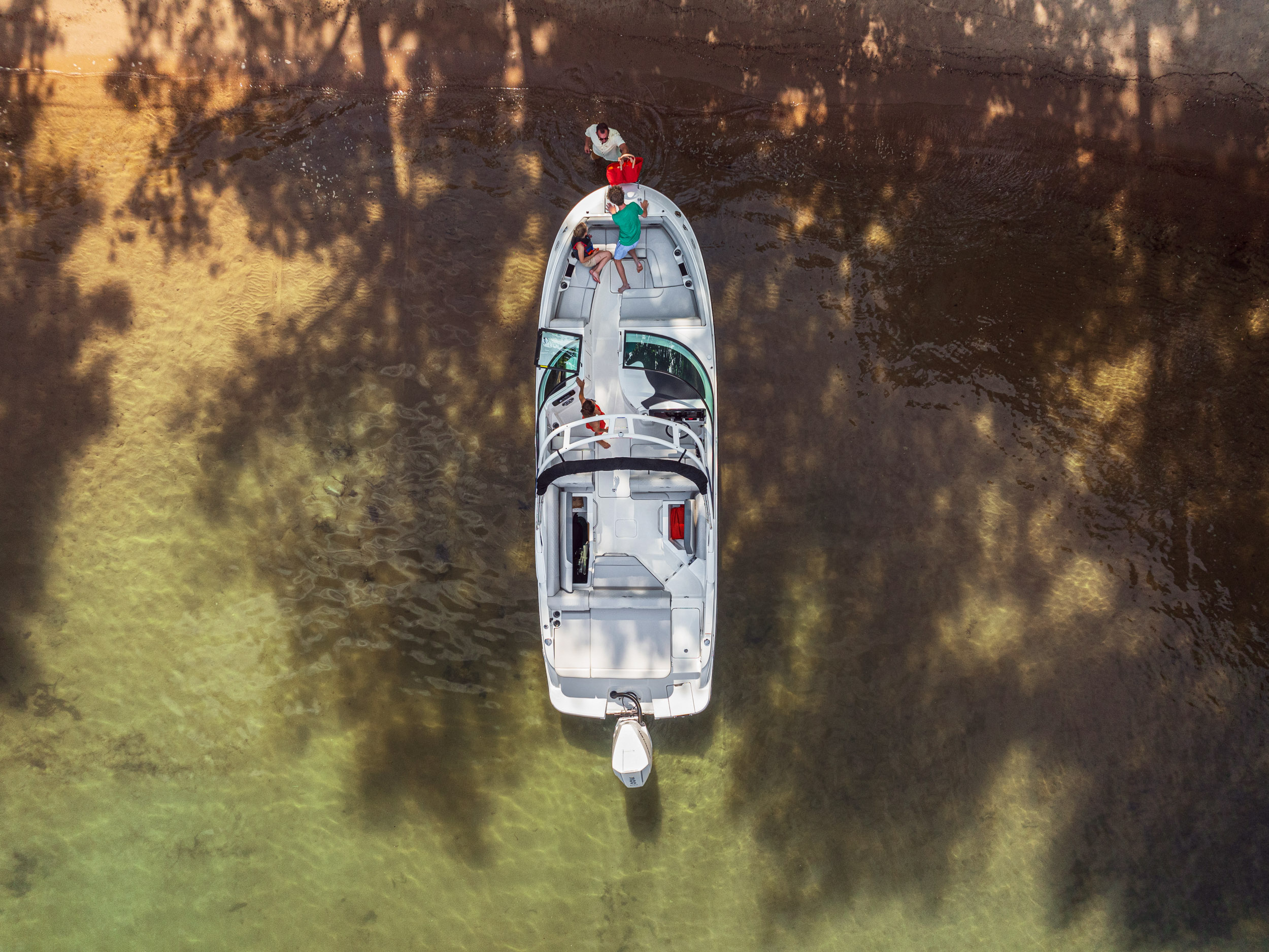 Sea Ray SDX 250 Outboard — photo 3