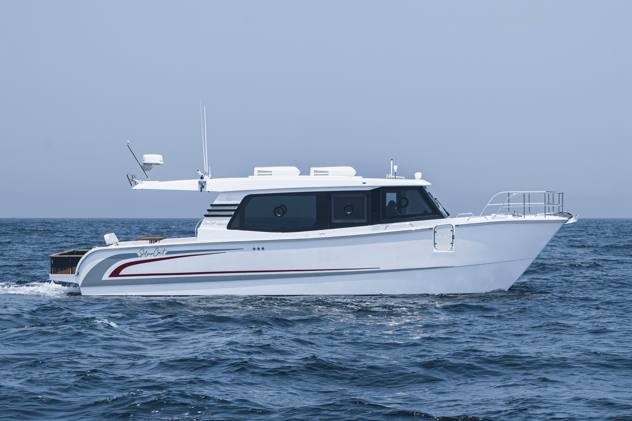 SilverCat 40LUX — photo 5