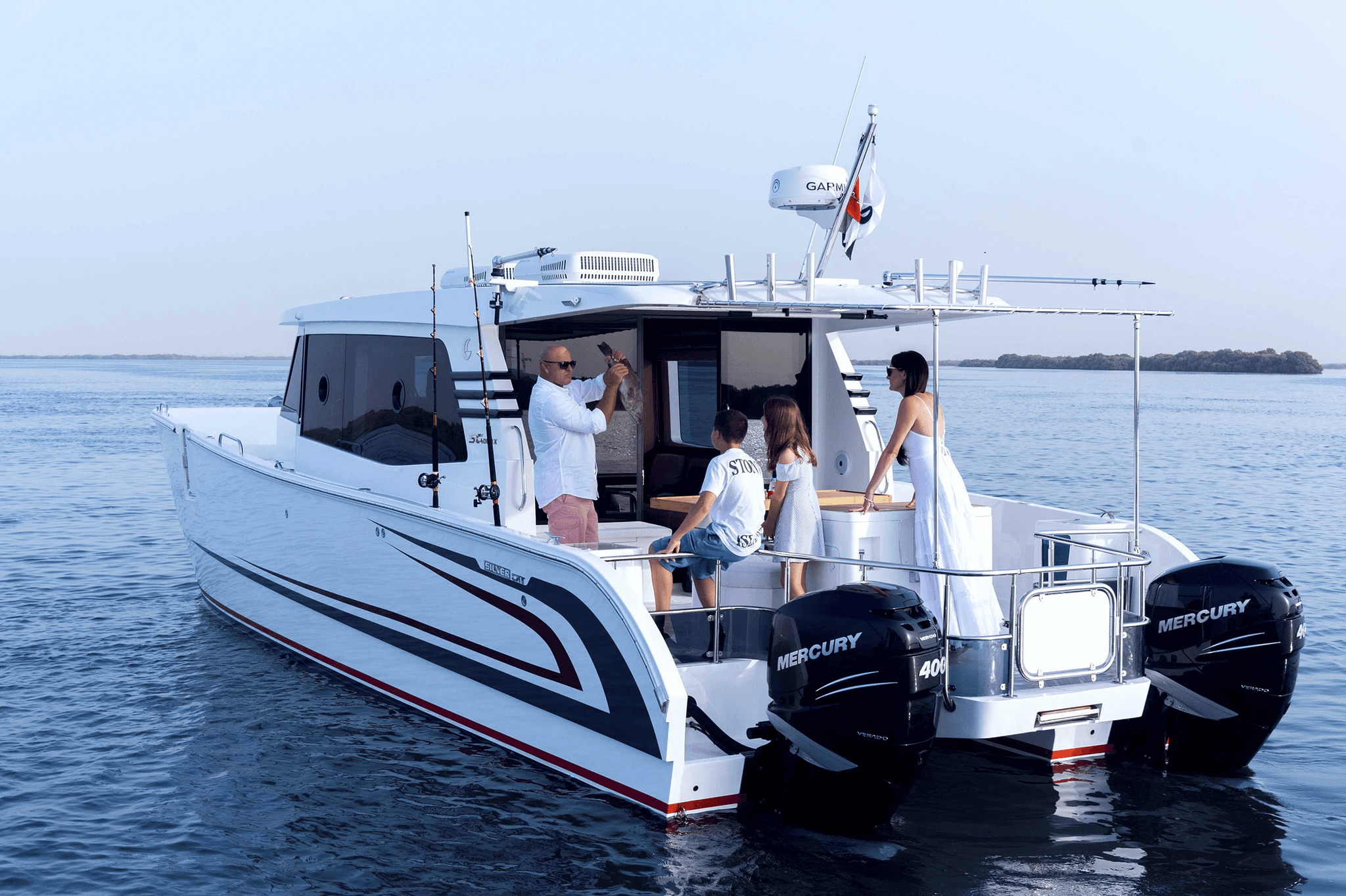 SilverCat 40LUX — photo 4