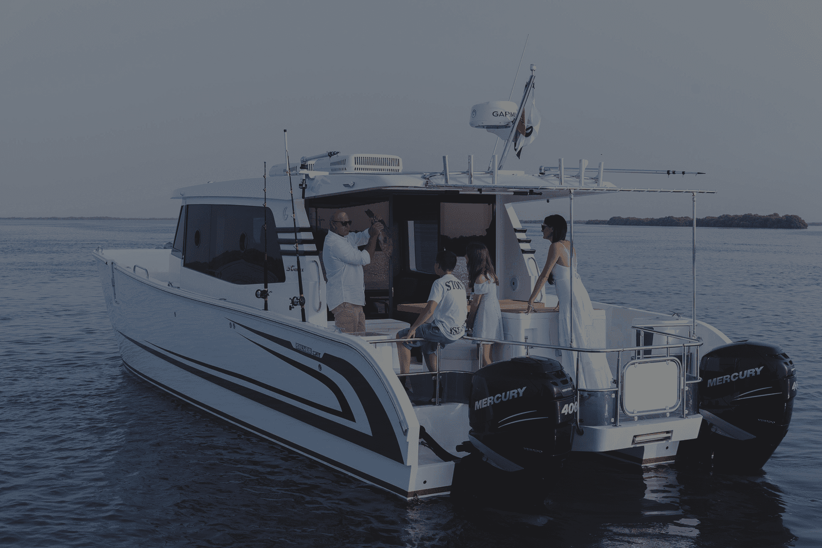 SilverCat 40LUX — photo 2