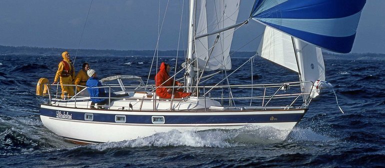 Hallberg-Rassy 312 — 照片 3
