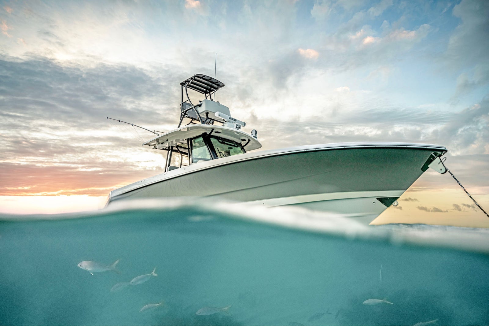 Boston Whaler 360 Outrage — 照片 8