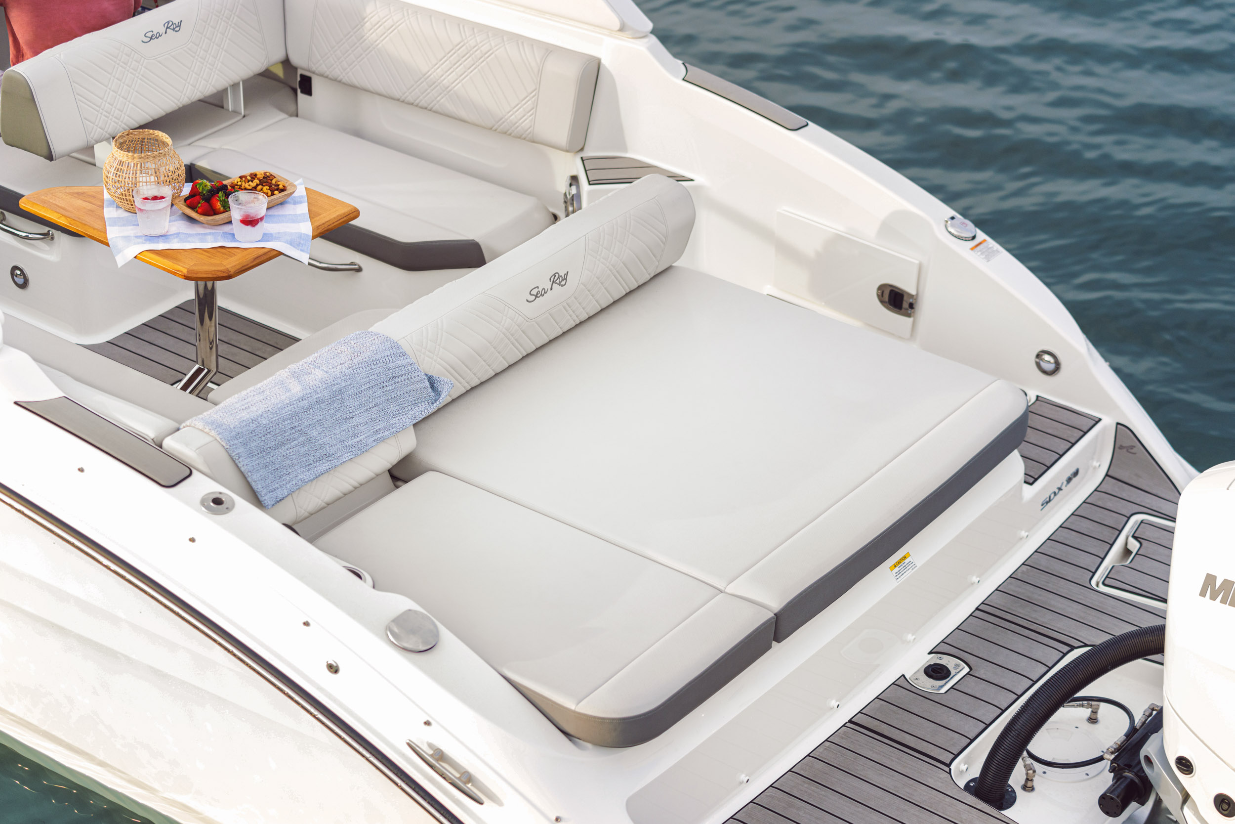 Sea Ray SDX 270 Outboard — photo 8