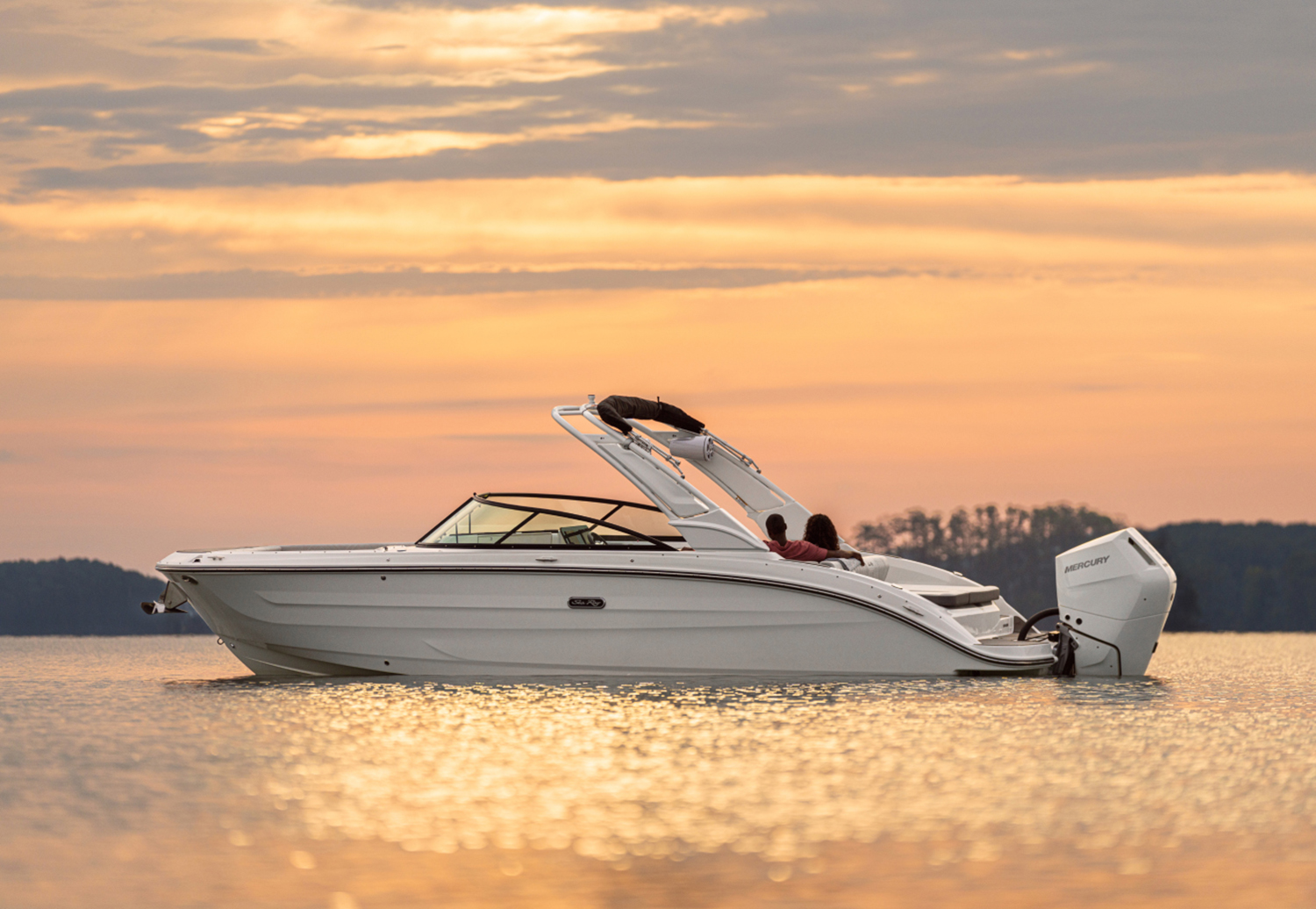 Sea Ray SDX 270 Outboard