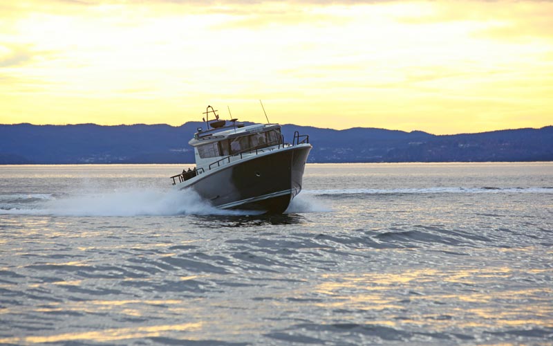 Sargo 36 Explorer — photo 5