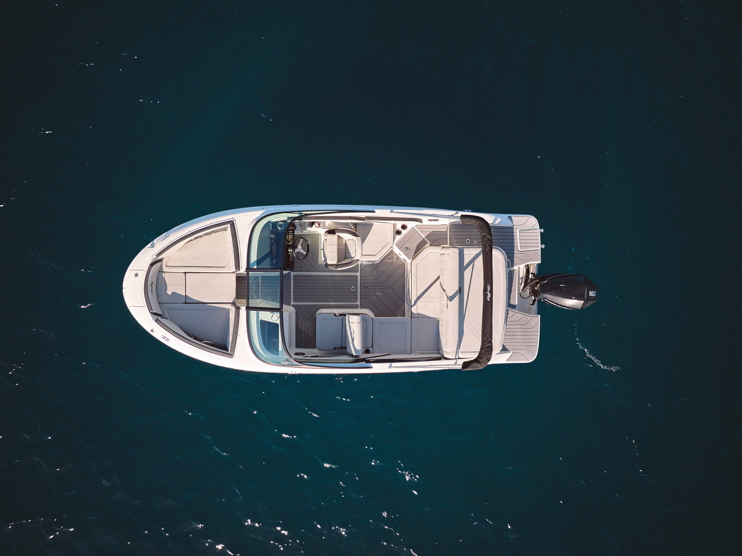 Sea Ray SPX 210 Outboard — photo 10