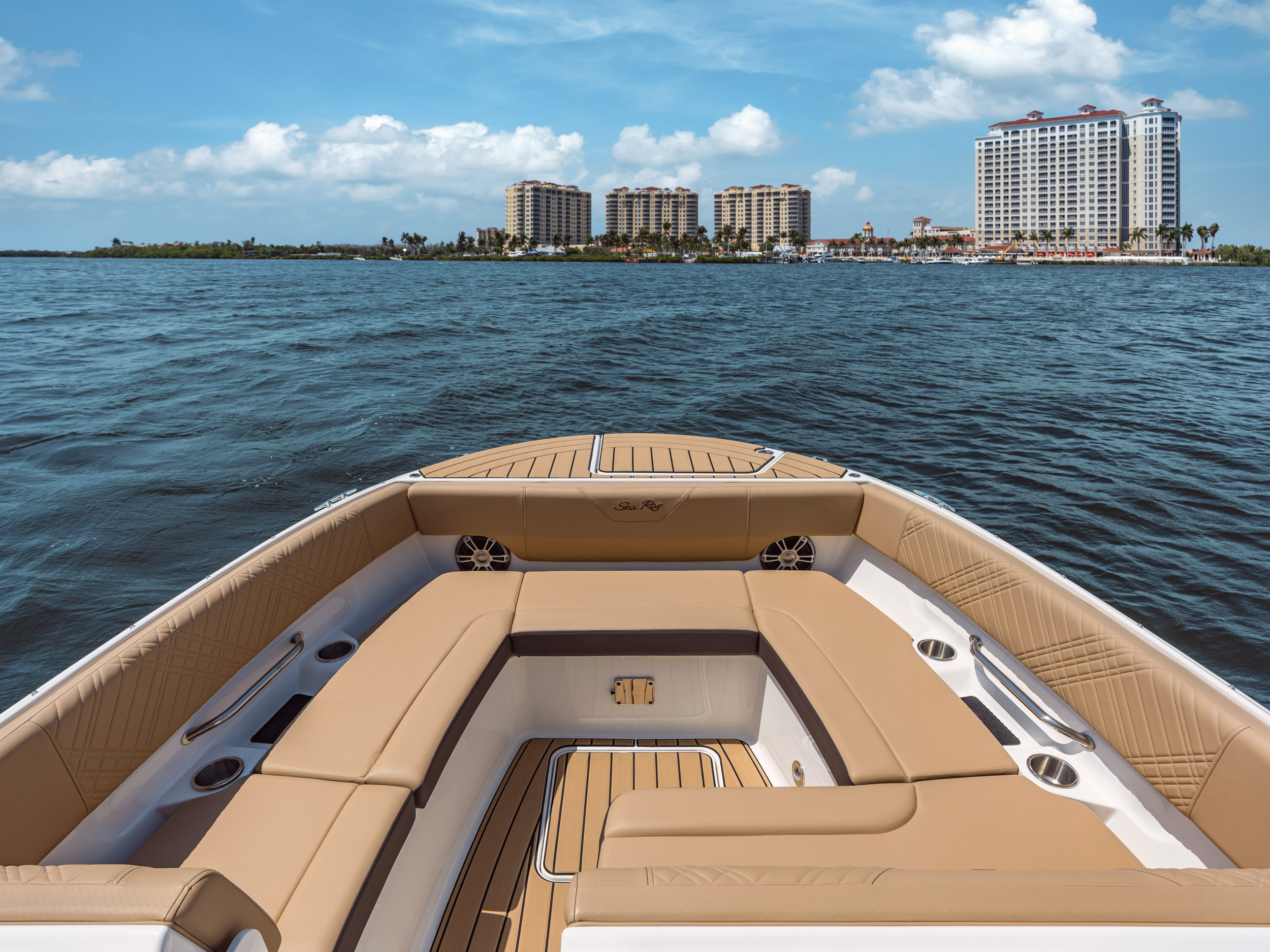 Sea Ray SDX 270 — photo 9