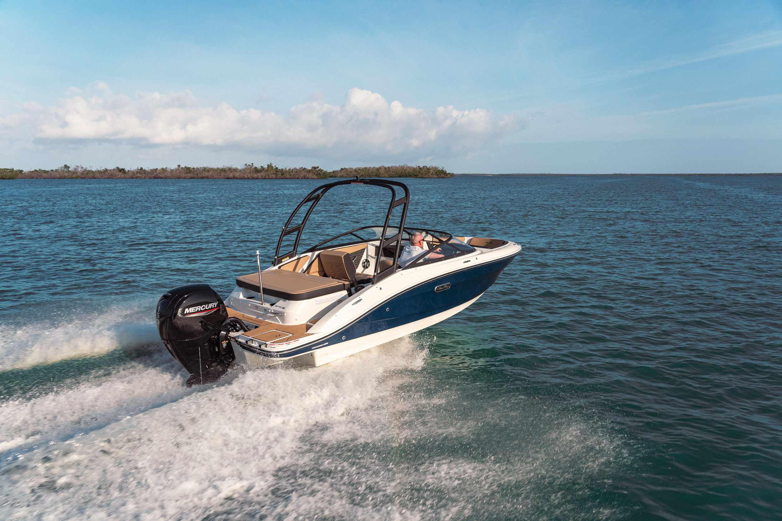 Sea Ray SPX 190 Outboard — photo 3