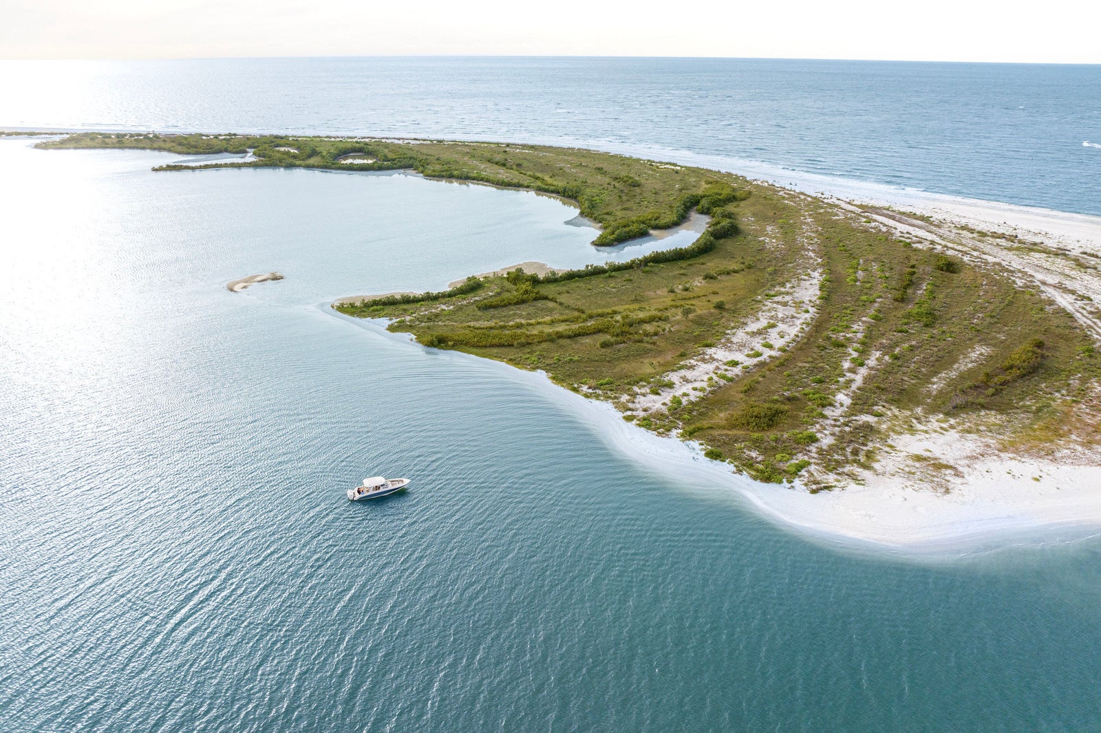Boston Whaler 350 Realm — 写真 9
