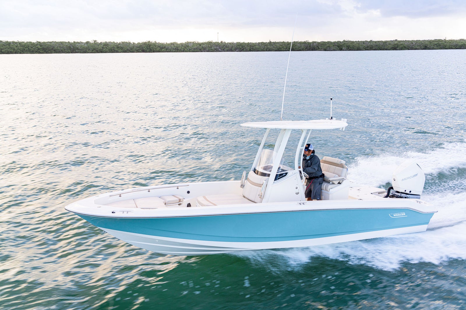 Boston Whaler 250 Dauntless — photo 9