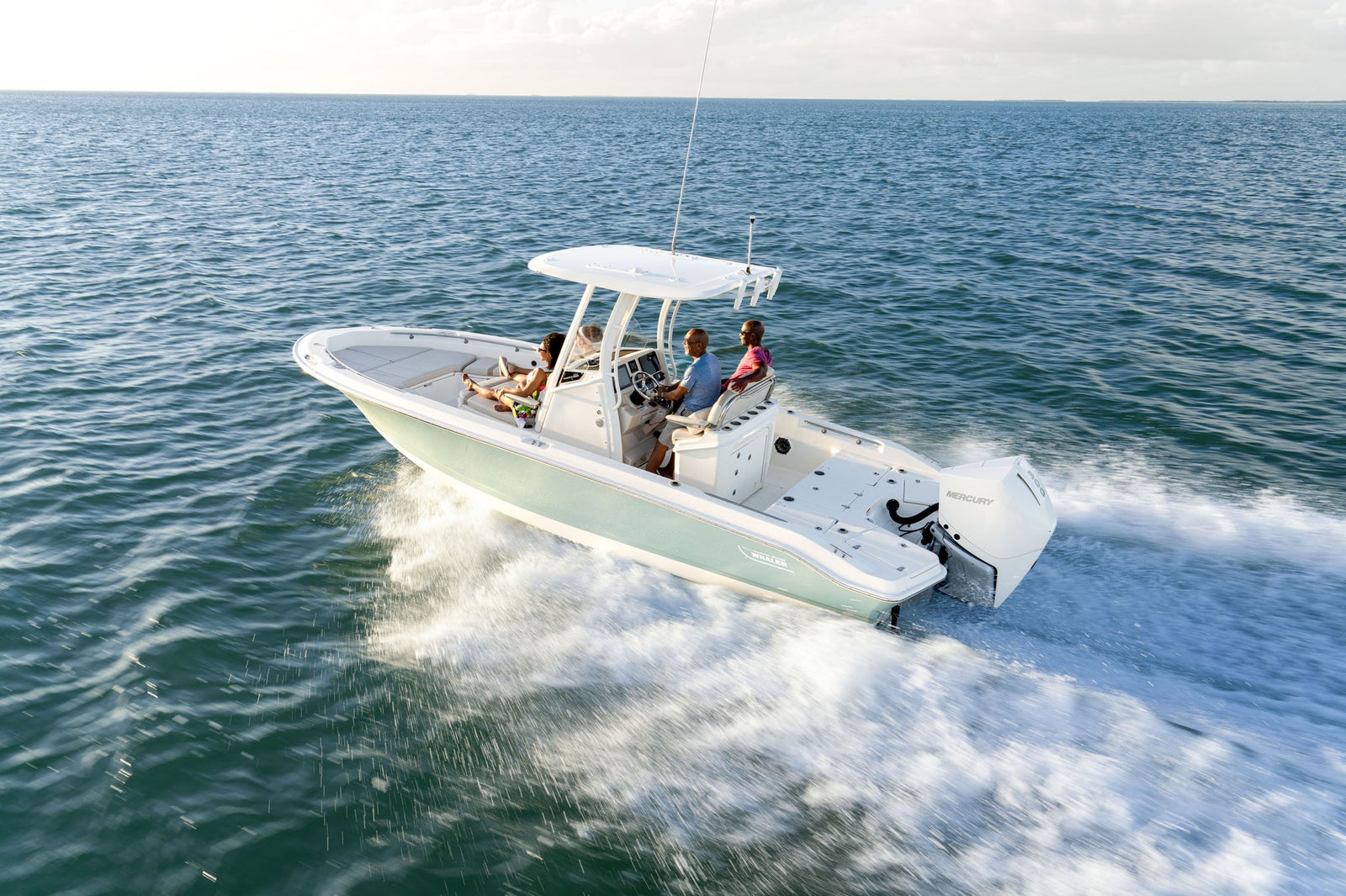 Boston Whaler 250 Dauntless — photo 8