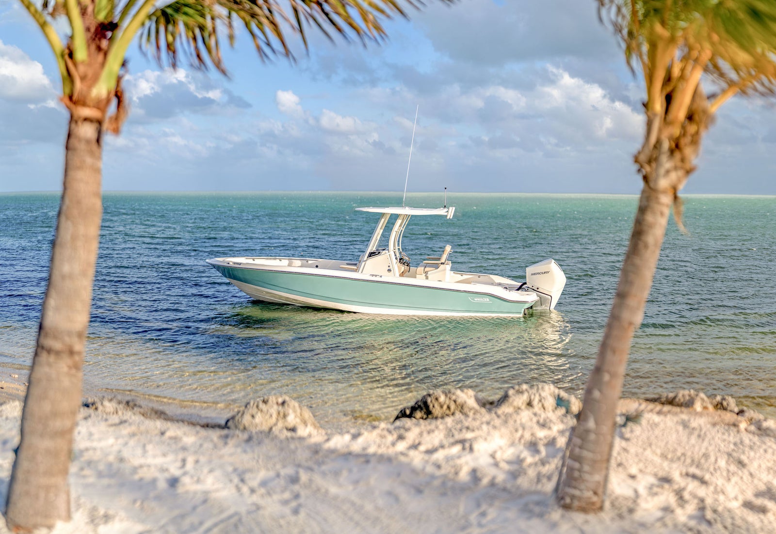 Boston Whaler 250 Dauntless — photo 7