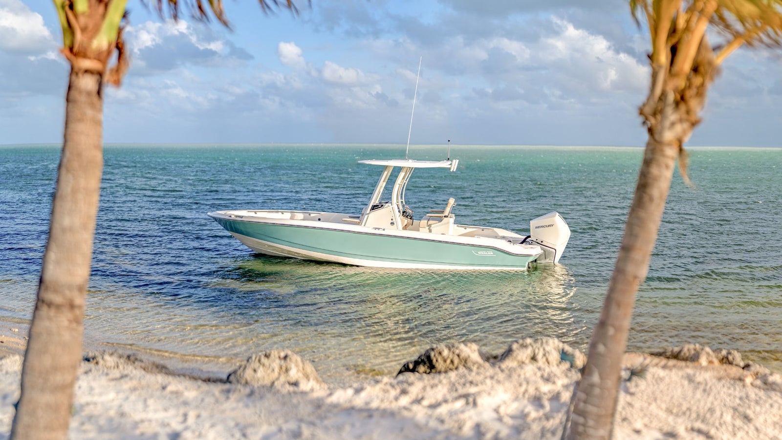 Boston Whaler 250 Dauntless