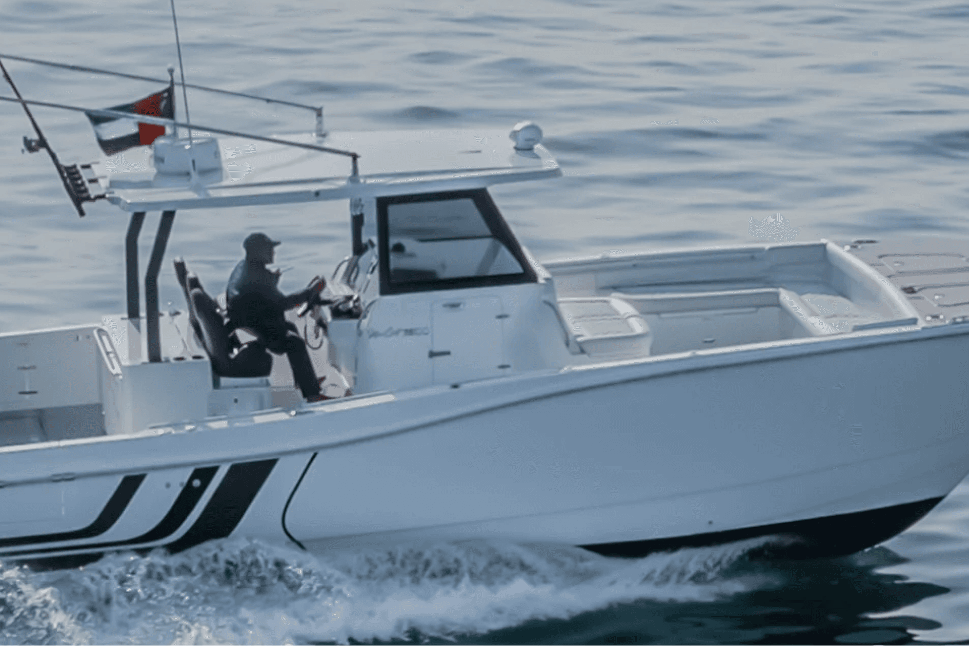 SilverCat 35CC — photo 6