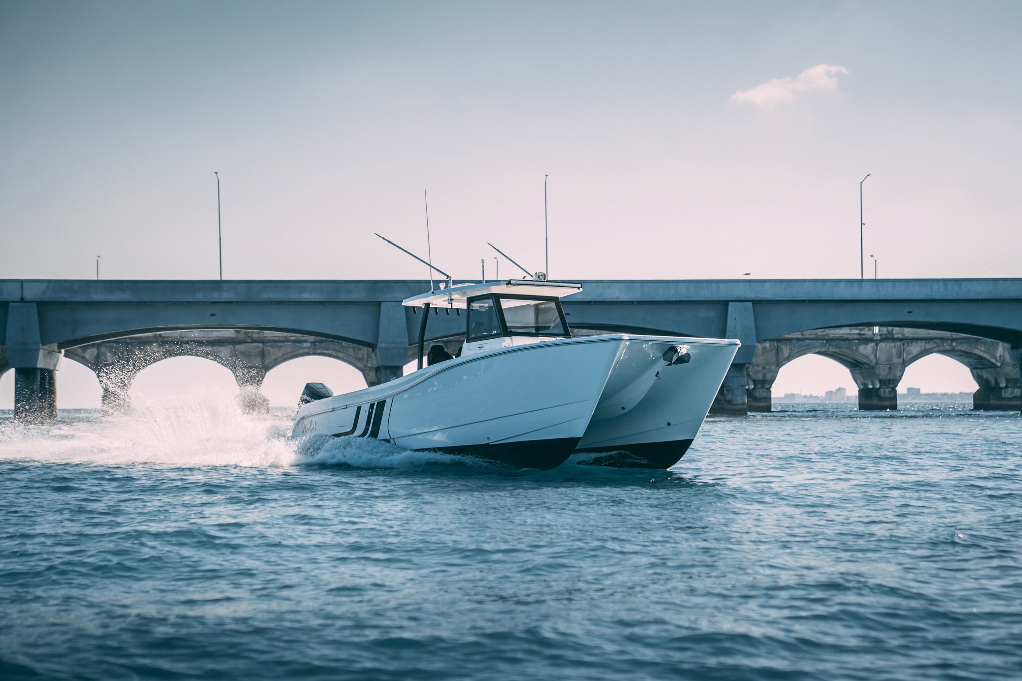 SilverCat 35CC — photo 4
