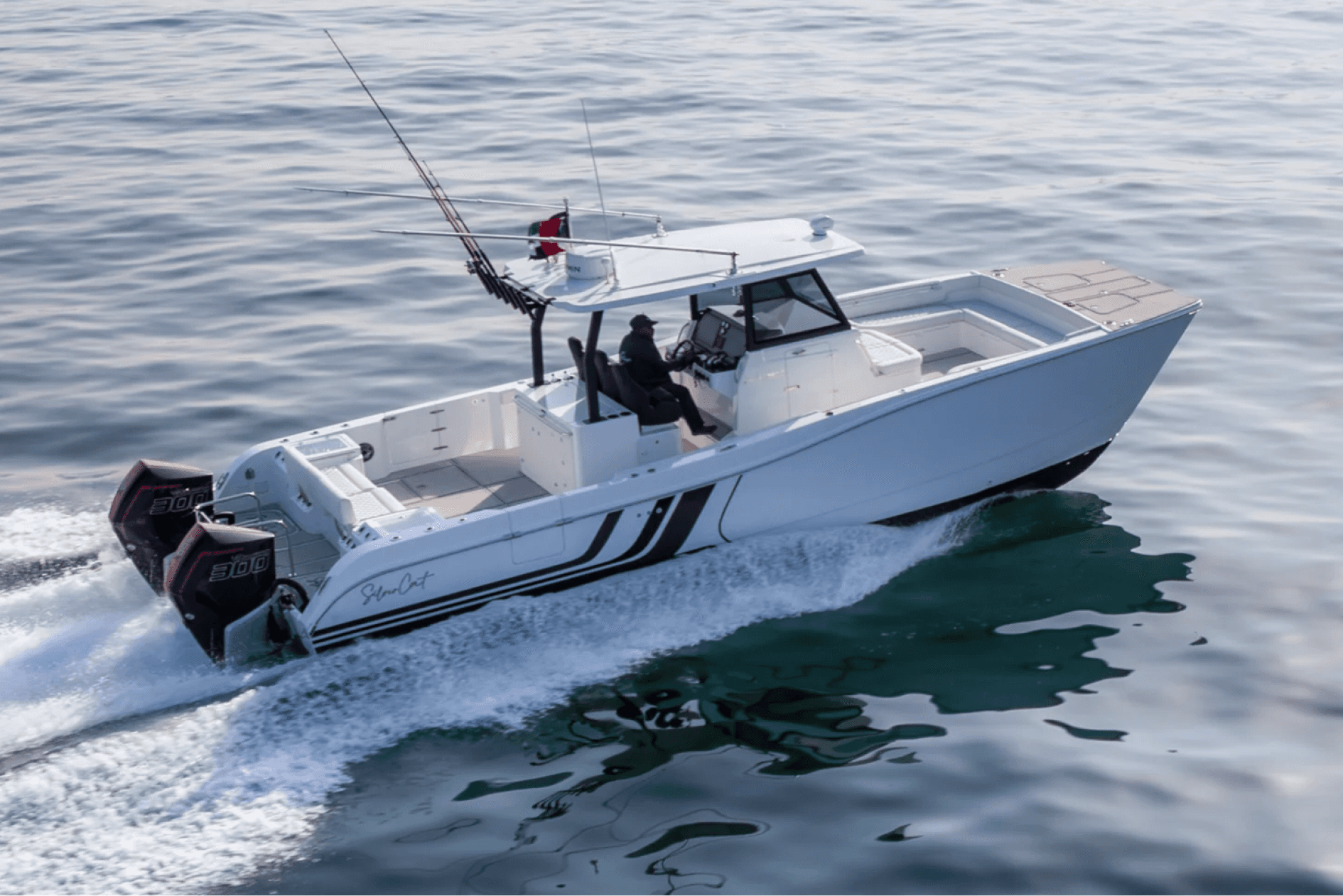 SilverCat 35CC — photo 8