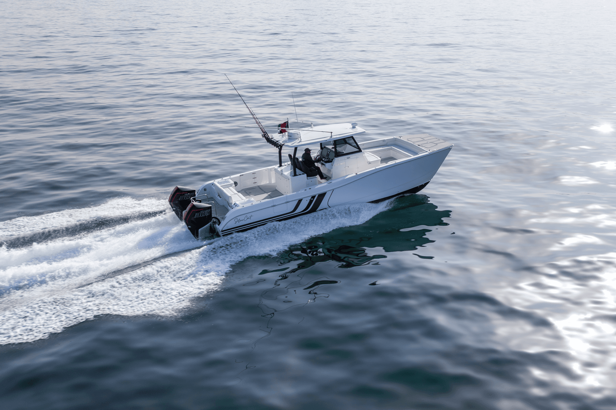 SilverCat 35CC — photo 2