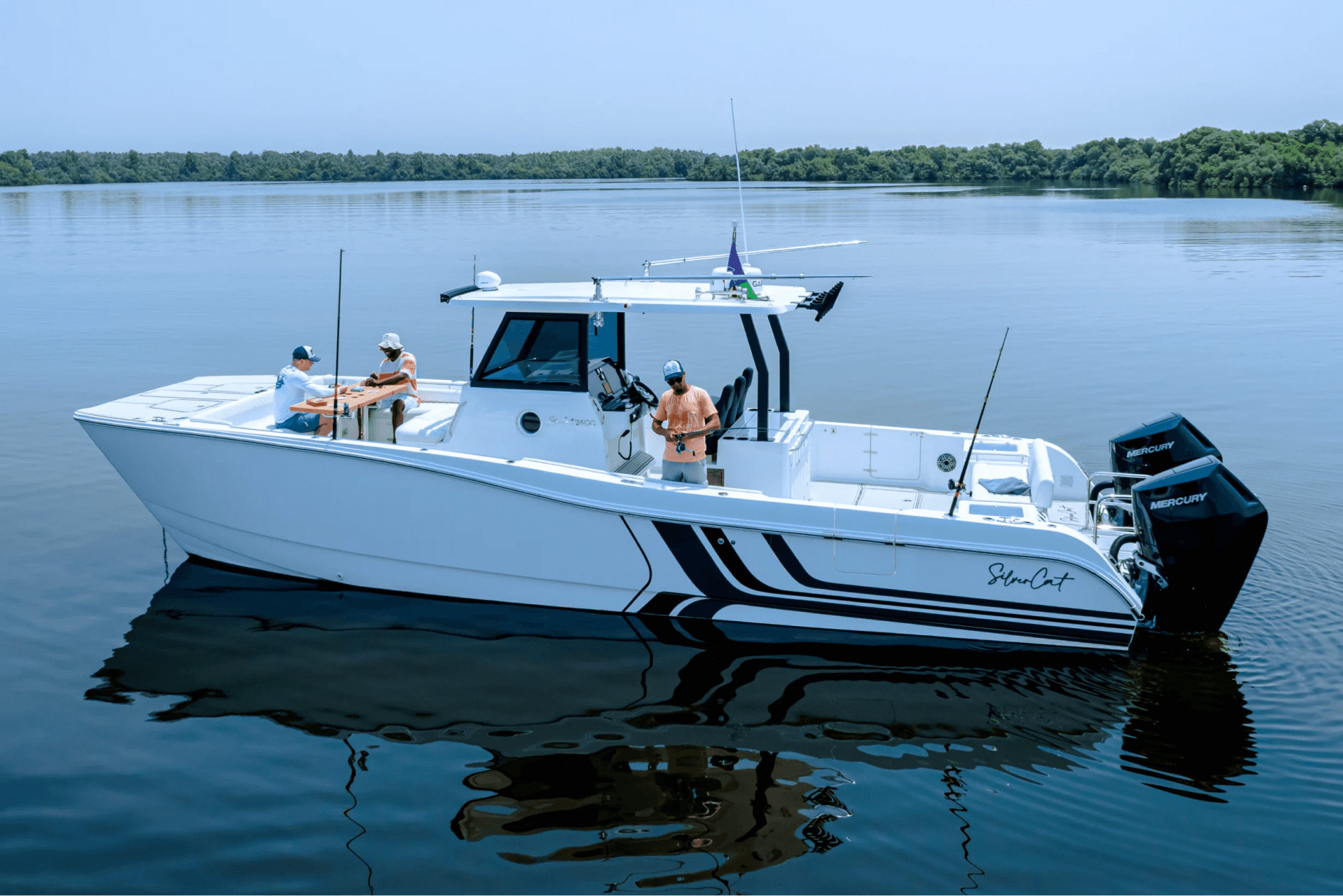 SilverCat 35CC — photo 7